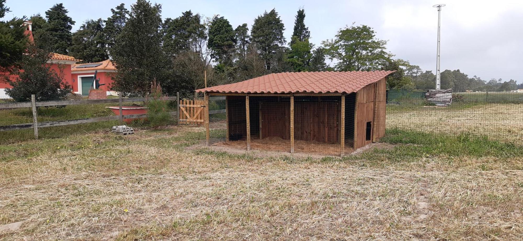 Casa Da Ria - Turismo Rural Ílhavo Buitenkant foto