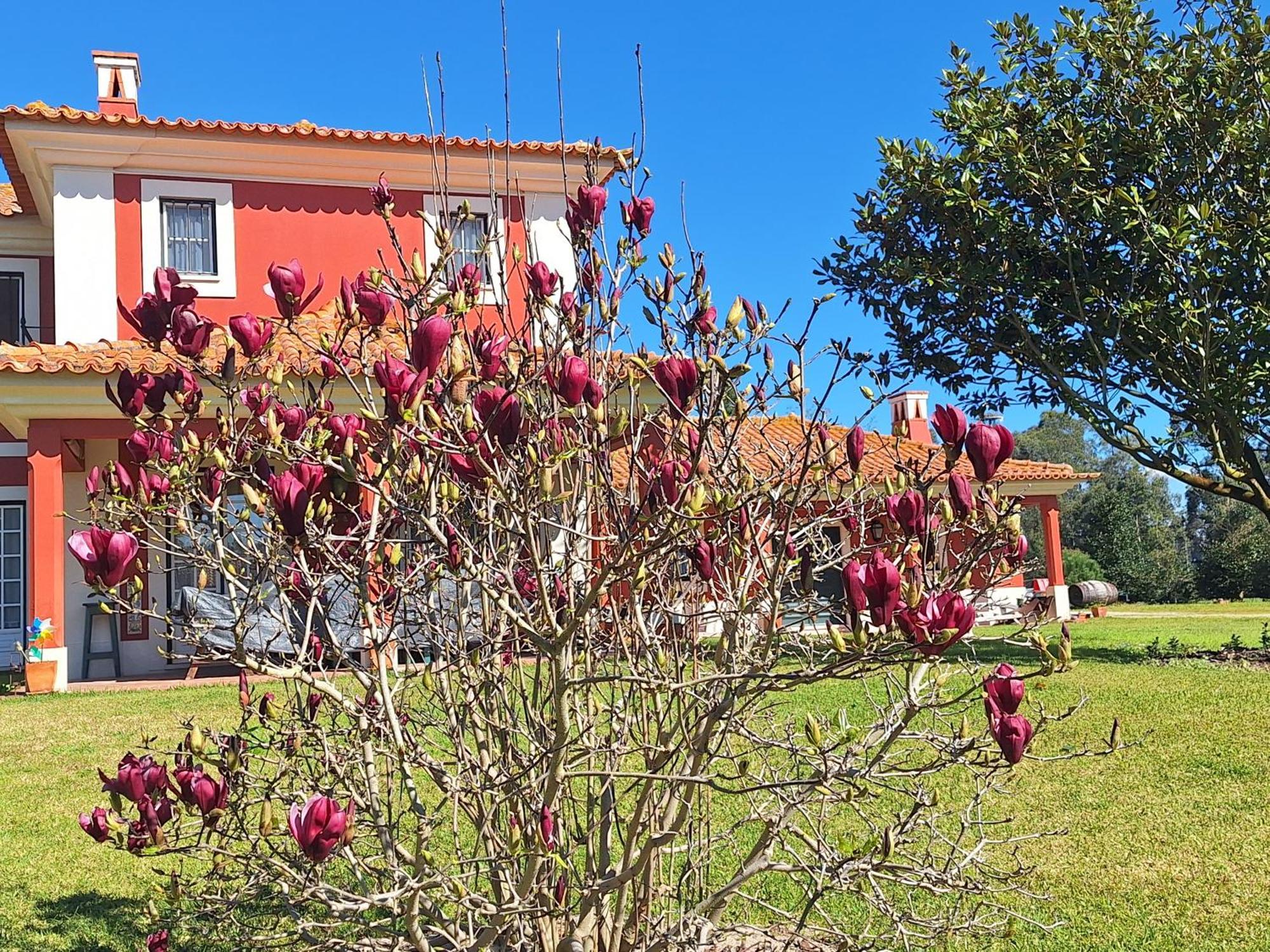 Casa Da Ria - Turismo Rural Ílhavo Buitenkant foto
